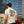 Utopia Tee